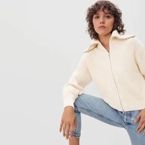 Everlane The Chunky Cardigan